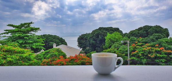 Coffee cup on table against trees and plants against sky