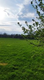 Scenic view of field against sky