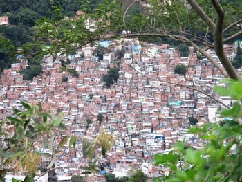 High angle view of trees