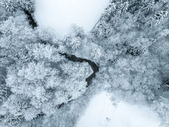 High angle view of frozen water