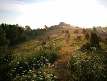 Scenic view of landscape against sky