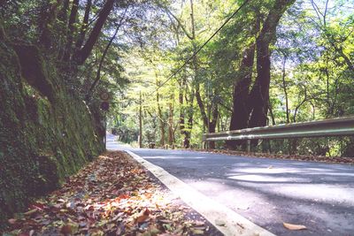 Road amidst trees in forest