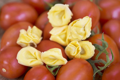Tortellini with fresh tomatoes