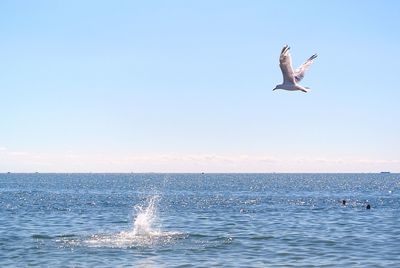 People surfing in sea