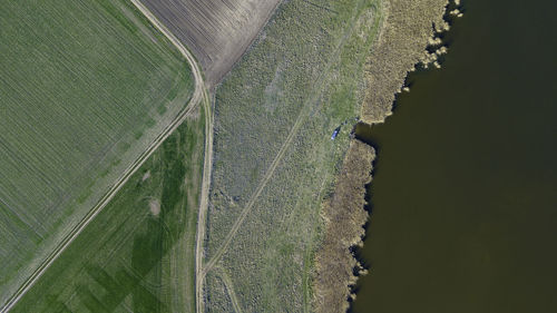 High angle view of agricultural field