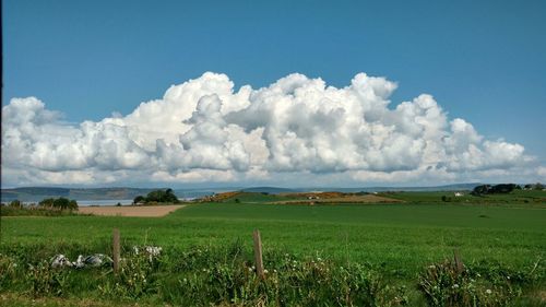 Scenic view of agricultural field against sky