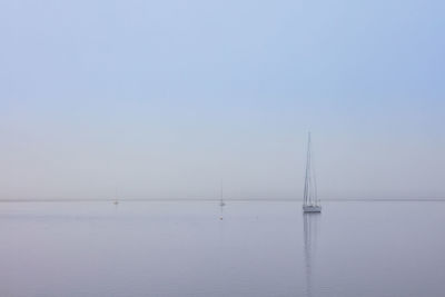 Sailboat in sea against clear sky