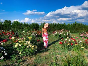 Rear view of woman wearing dress and hat in a garden of roses