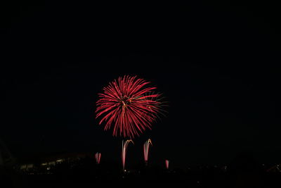 Low angle view of firework display at night