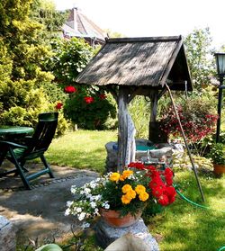 Potted plants in yard against building