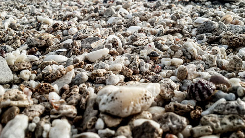 Full frame shot of pebbles on beach