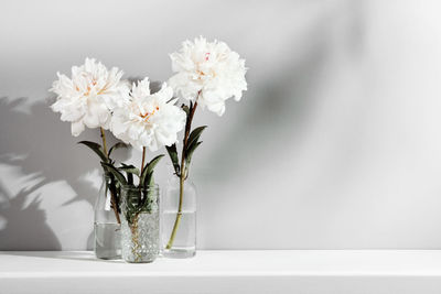 Close-up of white flowers