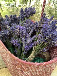 Close-up of purple flowering plants in basket