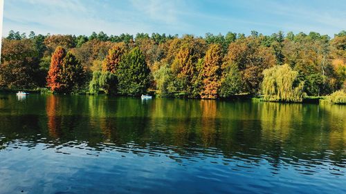 Scenic view of lake by trees against sky