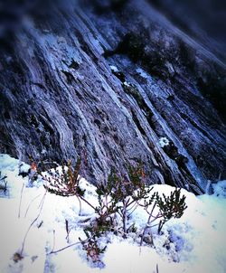 Close-up of tree against sky during winter
