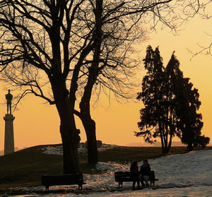 Silhouette people sitting on bare tree at sunset