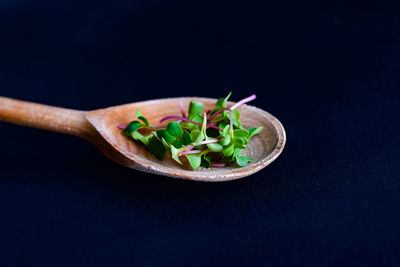 Close-up of vegetables on table against black background