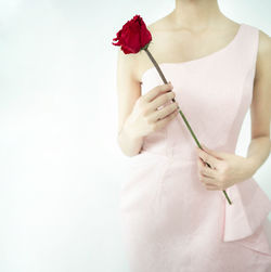 Midsection of woman holding white rose