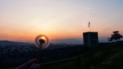 Close-up of hand holding dandelion against sky during sunset