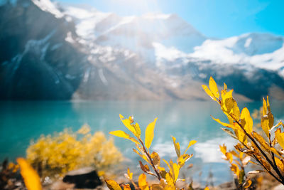 Scenic view of snowcapped mountains against sky