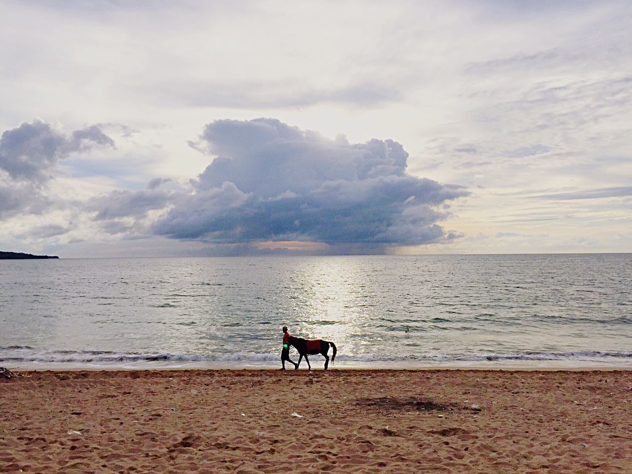 sea, cloud - sky, sky, beach, water, one animal, nature, domestic animals, mammal, horizon over water, beauty in nature, real people, sand, scenics, tranquility, one person, men, pets, full length, outdoors, day, people