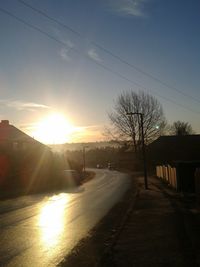 Sun shining through bare trees