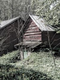 Abandoned built structure in forest