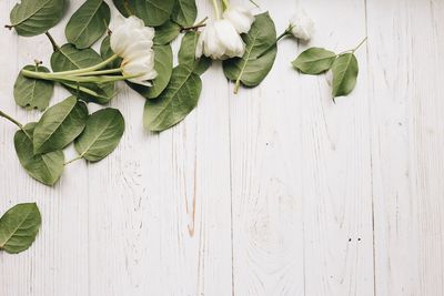 High angle view of leaves on table