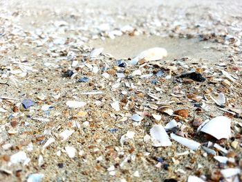 Close-up of sand on beach