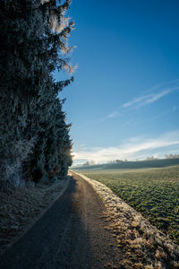 Scenic view of agricultural field against blue sky