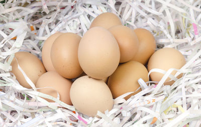 High angle view of eggs in container