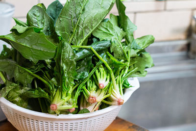 Close-up of vegetables in bowl