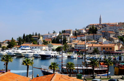 Boats in harbor with buildings in background