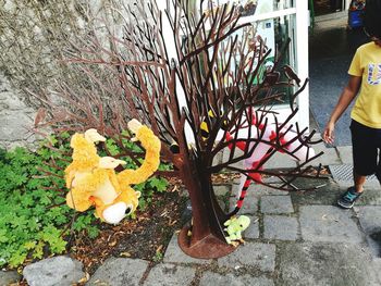 Person holding umbrella on footpath by street
