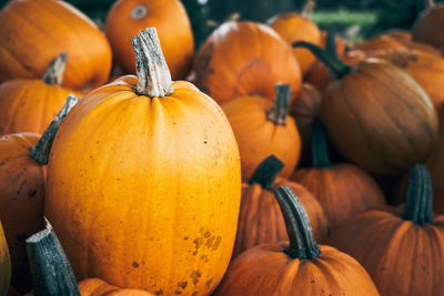 High angle view of pumpkins in market for sale