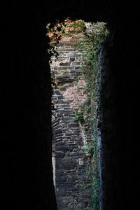 Close-up view of stone wall