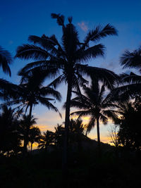 Silhouette palm trees against sky during sunset