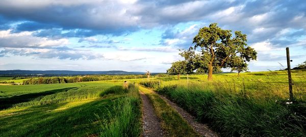 Scenic view of landscape against sky