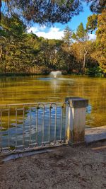 Scenic view of lake against trees