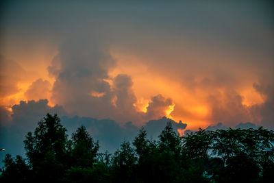 Silhouette trees against sky during sunset