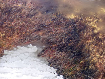 High angle view of frozen lake during winter