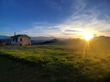 Scenic view of field against sky during sunset