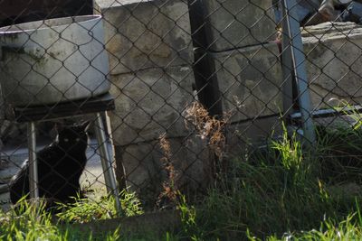 Chainlink fence on chainlink fence