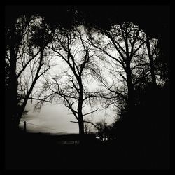 Silhouette trees against sky