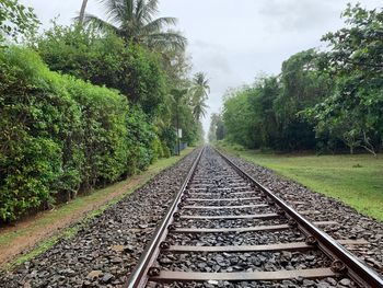 View of railroad tracks amidst trees against sky
