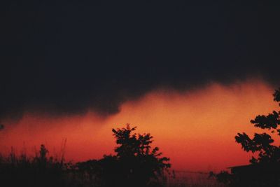 Silhouette trees against dramatic sky during sunset