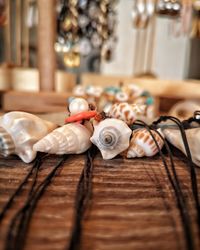 High angle view of shells on table