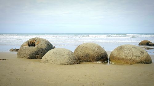 Moeraki boulders on sea shore against clear sky