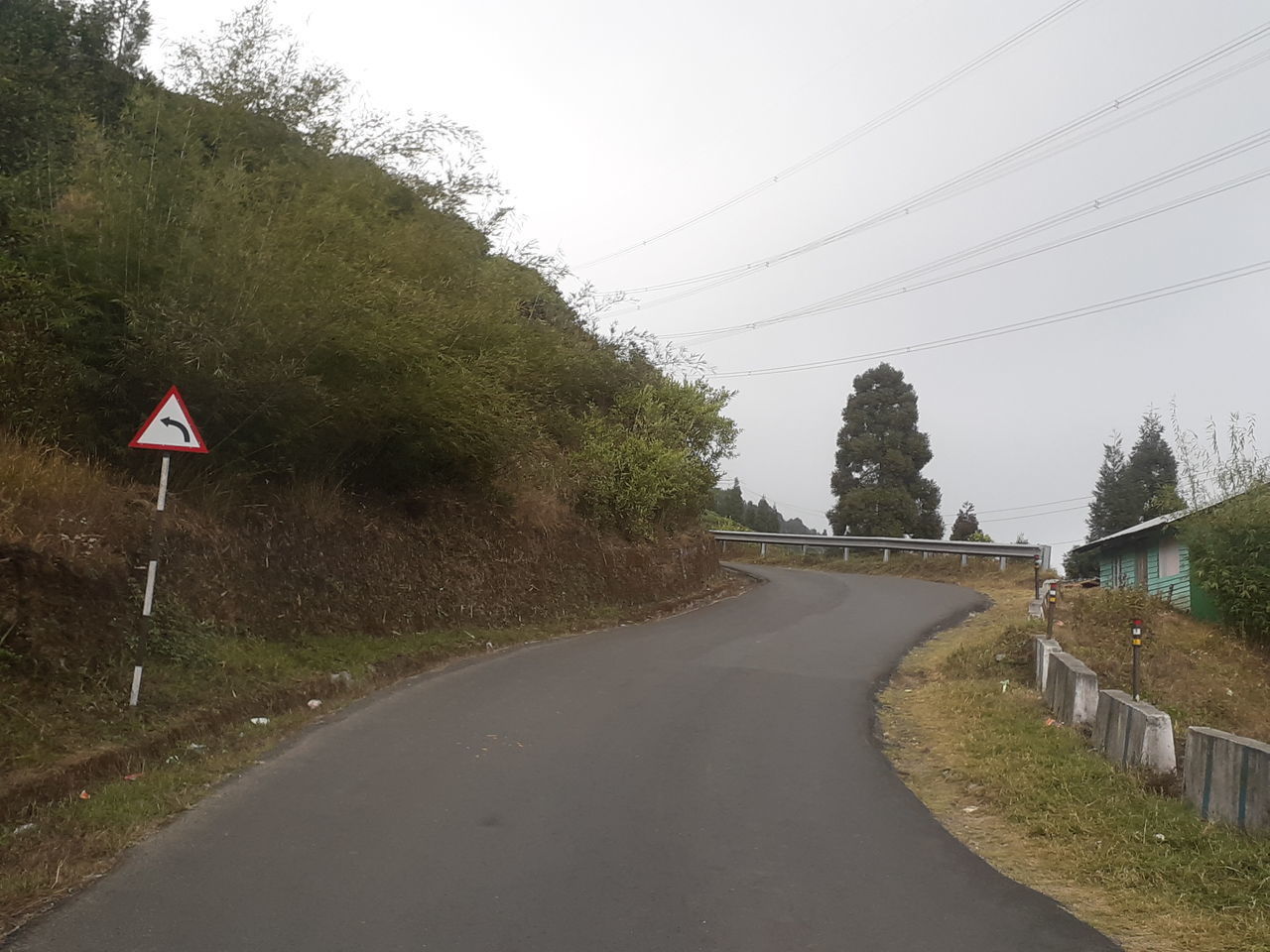 ROAD BY TREES AND PLANTS