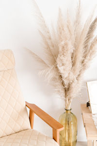 Close-up of feather on table at home